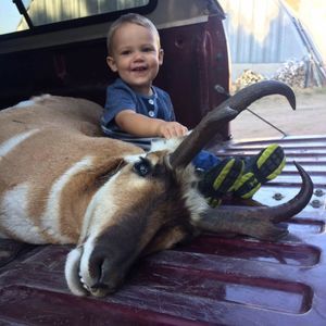 Meet your Posher, Cody